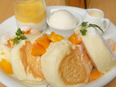 北海道ガーデン街道巡りの旅　　７－１　道の駅 あびらD51(デゴイチ)ステーション編