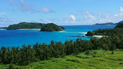 座間味島シュノーケリング他