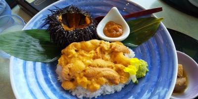 おばあちゃんの梅干しを守りに！からの三陸キラキラ丼