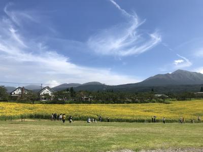 子連れ（6歳）でGo～高千穂牧場が熱すぎる!