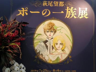 シェール・メリーベル　萩尾望都オリジナル Amazon.co.jp: 王妃マルゴ 全8巻セット 萩尾望都1-8巻セット