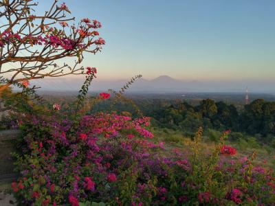 バリ島 ウエストサイド物語（７泊９日）Vol.4 ～ From Dawn Till Dusk・・