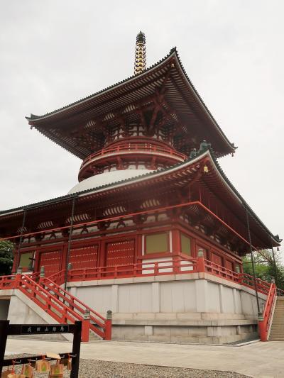 成田山-6　 新勝寺d  平和大塔・釈迦堂・額堂・光明堂　☆開山堂・醫王殿・奥の院も