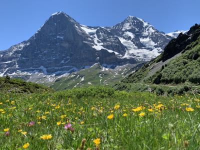 2019年6~7月グリンデルワルト①メンリッヒェン ~クライネ・シャイデック 6/29(土)