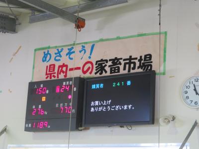 総販売金額１億２４２万５千円(子牛)セリ結果６♪ＪＡおきなわ黒島家畜市場♪めざそう！県内一の家畜市場♪2019年７月八重山・黒島８泊９日５０