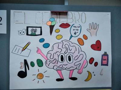 スペインの子供たちが描いた脳の絵画展