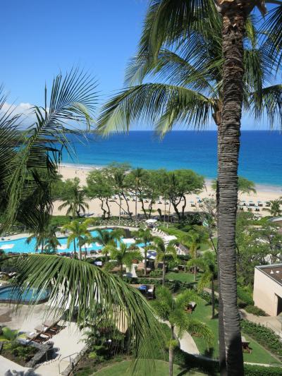 2018 夏のハワイ島