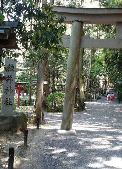 陽春の奈良観光①大神神社～長谷寺