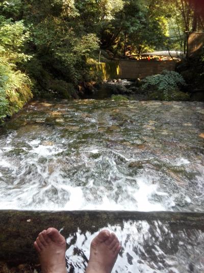 ちょいと京まで用足しに(ついでに貴船に涼みに行ってきました)