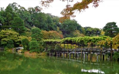 ２０１８年１０月　京都　仙洞御所見学　少し紅葉をしていました。