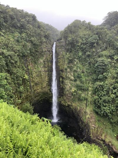 2019年6-7月【3】 21年ぶり2度目のハワイ島　3日目はハワイ島観光スポット満喫ツアー！