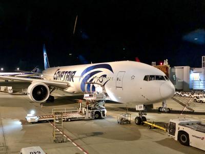 158. 弾丸アフリカ縦断政策 Day 0&1 MSビジネスクラス、無料トランジットホテルとオマケの観光 