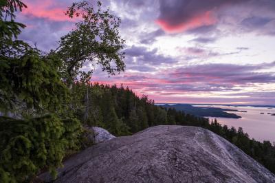 フィンランドの夏の湖と森の写真を撮りに行く旅【4】 2日目その3：夕暮れのコリ国立公園