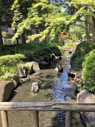 ”水辺のまち江戸川"小松川境川親水公園　行船公園へ遊びに行こう！（・ω・）/♪