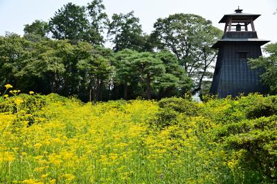 夏の盛りに上州北部へ避暑の旅《Part.2》～上州の真田三名城登城記～