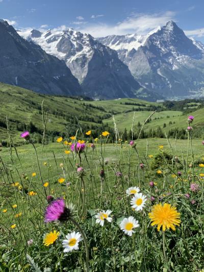 2019年6~7月グリンデルワルト③グローセ・シャイデック~フィルスト 7/1(月)