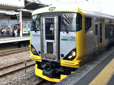 2019年8月地下に潜る東京鉄道旅行3（ホリデー快速鎌倉号ほか）