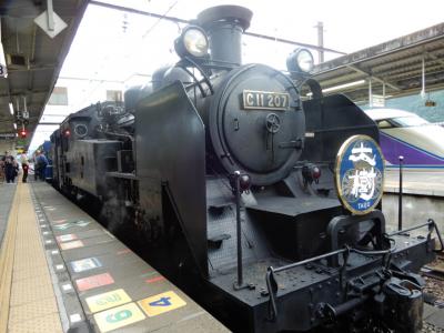 栃木鉄道旅【日帰り⑤】