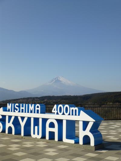箱根へ！　３　箱根から三島へ　スカイウォークで絶景富士山散歩
