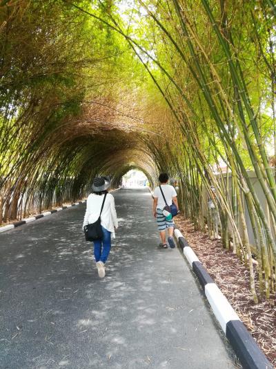 食べ続ける家族のサムイ旅行　4日目