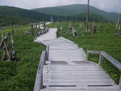 大台ケ原　（西大台＋東大台）を満喫