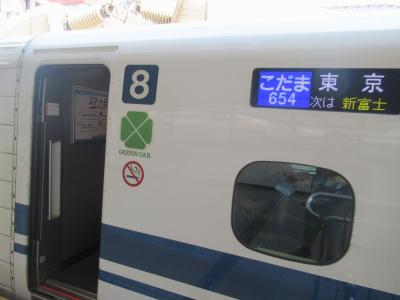 夏旅2019甲府・静岡（９終）こだま号グリーン車と東海道線2階建てグリーン車で帰ります