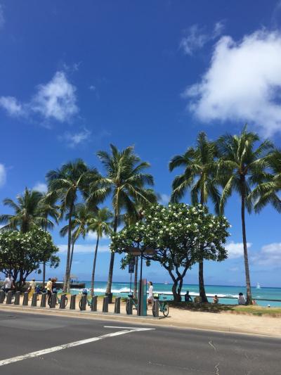 3歳児と一緒の夏Hawaii☆5日目