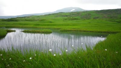 ほっこり秋田・山形　東北旅～花々咲く月山8合目弥陀ヶ原湿原を歩く～3日目（その１）