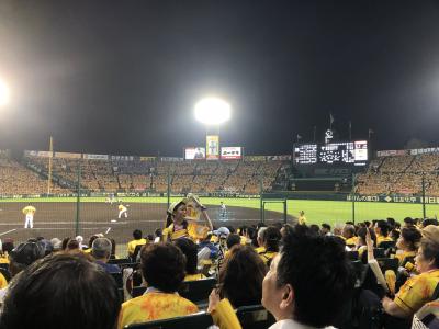 『甲子園球場=ビアガーデン』な野球観戦(阪神VS DeNA)