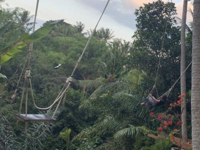 リアルハイジ！スイングー
