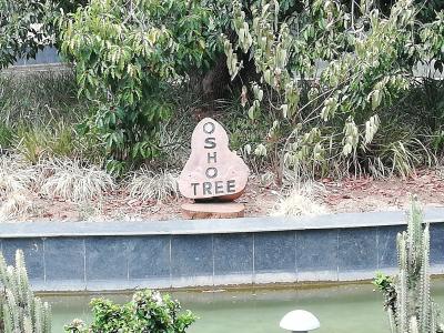 2019年 4~7月 ⑫ ジャバルプール ガダルワラ OSHOアシュラム