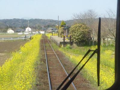 2019春・青春18きっぷ日帰り旅その2 　春の房総半島一周