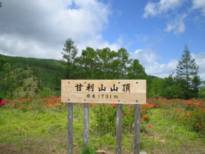 甘利山～千頭星山　レンゲツツジの花どきに