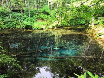 夏の道東2泊3日②中標津～知床　北こぶしホテル宿泊