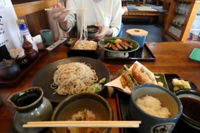 手打そば砂場三島店の昼食　三島市佐野体験農園 茄子・キュウリ・大根・スナックとうがらし・インゲン・トマトの収穫　