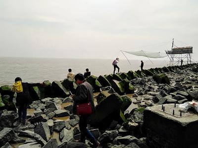 上海市　摘水湖 &amp; 南匯嘴観海公園