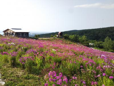 2019夏　北海道・道東オホーツクへ家族旅行