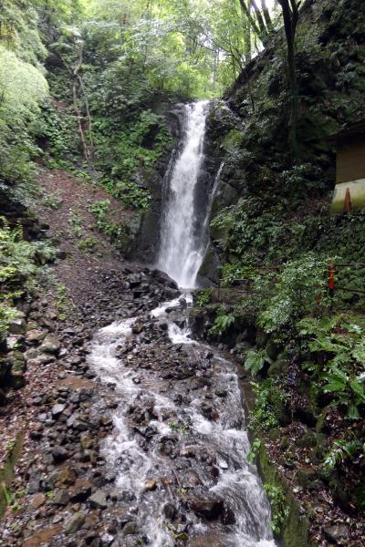 ０６．梅雨のエクシブ湯河原離宮1泊　朝の湯河原の散歩道その２　不動滝　だるま滝　ロビーラウンジの喫茶