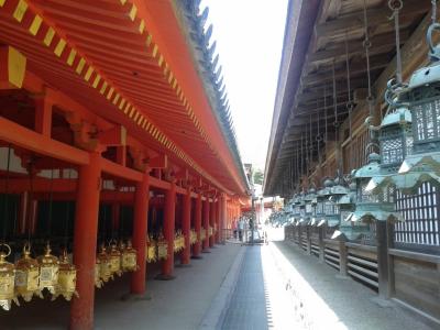 陽春の奈良観光④春日大社と萬葉植物園