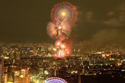 旅するイルカ♪　なにわ淀川花火大会遠望へ