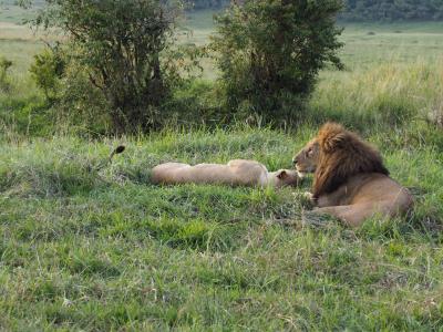 【GW】念願のサファリツアー その4(最終回)