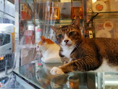 西環パトロール【2019年7月号】（前半）