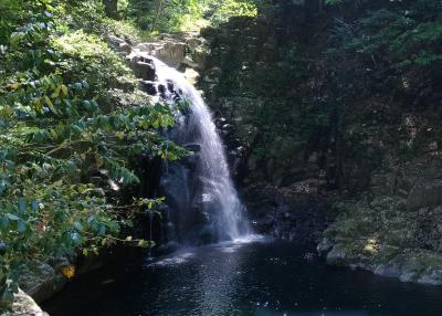 健康ハイキング！赤目４８滝