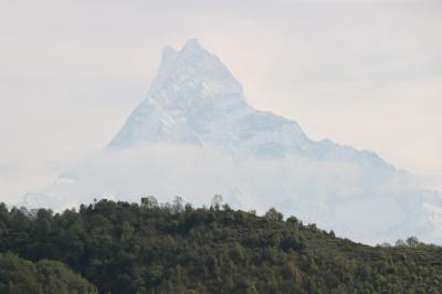 心に染み入る美しい国 23年ぶりのネパール旅（７）マチャプチャレを眺め、ダンプス周辺の村々をミニトレッキング