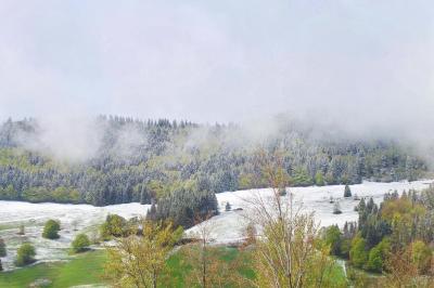 春なのに雪のフェルトベルク
