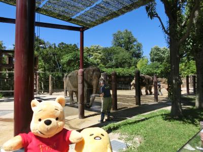 ２０１８年６～７月関東旅行その４　上野動物園見学後編