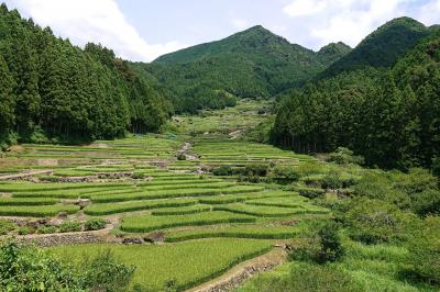 ２０１９夏の新城日帰りドライブ★ 四谷の千枚田と阿寺の七滝