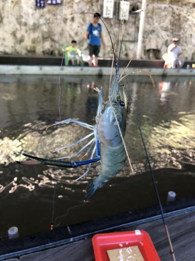 台湾でえび釣り堀を楽しみたい方、準備のために必見ですよ(^^)