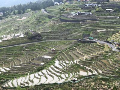 丸山千枚田