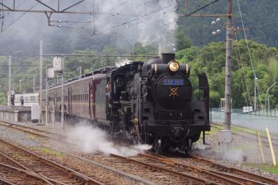 2019夏 青春18切符の旅 第2弾 SL＆新型ラビュー 乗り鉄編